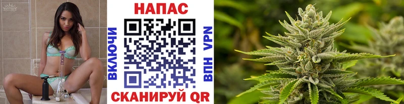 Шишки марихуана White Widow  как найти закладки  Кущёвская 